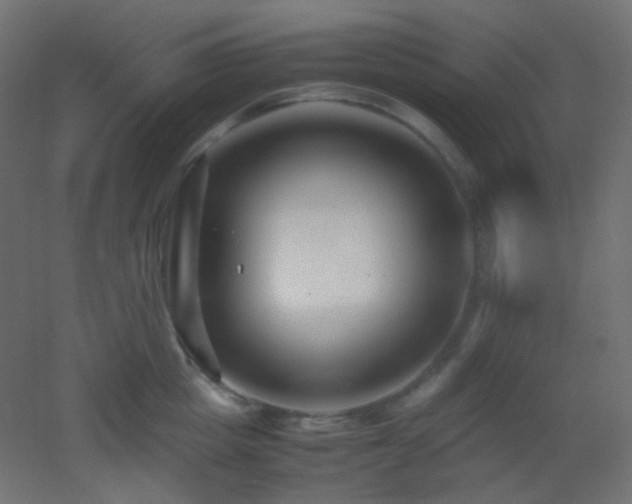 X0000053070857200507111216