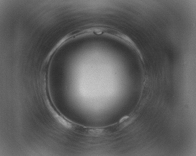 X0000053070859200507111216