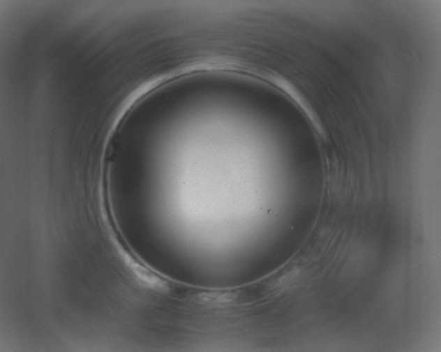 X0000053070861200507111216