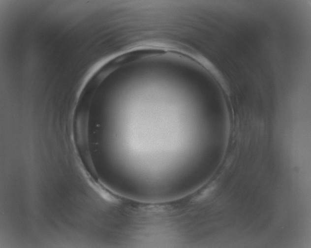X0000053070862200507111216