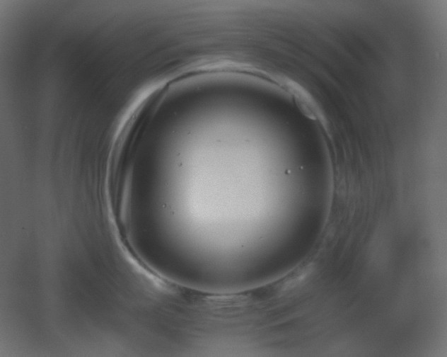 X0000053070863200507111216