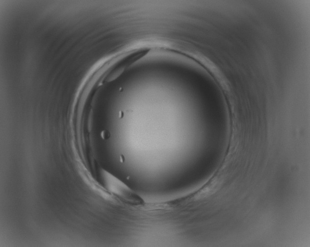 X0000053070864200507111216