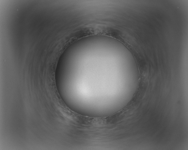 X0000053070865200507111216
