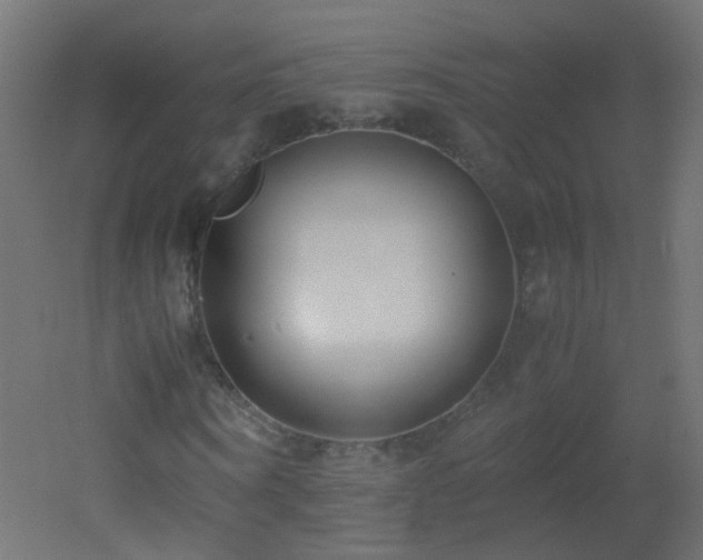 X0000053070866200507111216