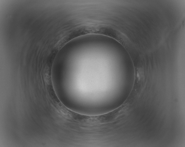 X0000053070867200507111216