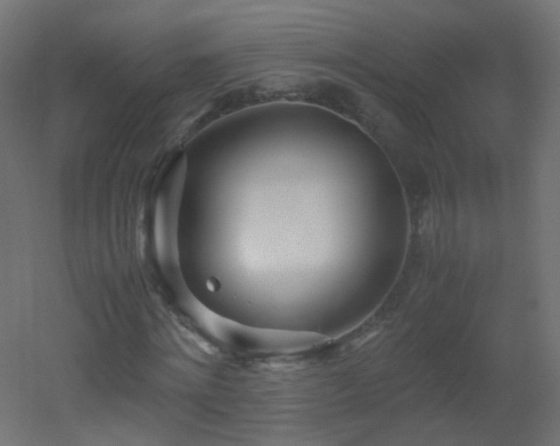 X0000053070868200507111216