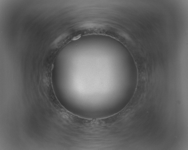 X0000053070869200507111216
