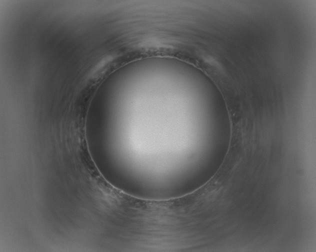 X0000053070870200507111216