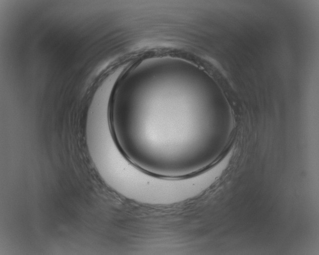 X0000053070871200507111216