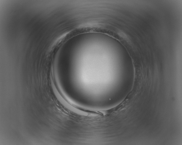 X0000053070872200507111215