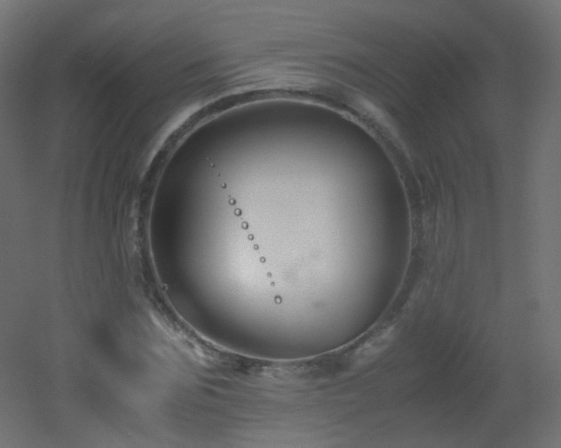 X0000053070875200507111215