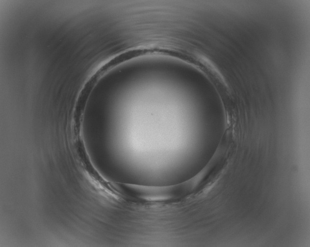 X0000053070876200507111215