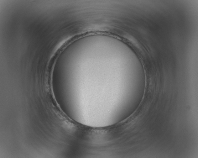 X0000053070878200507111215