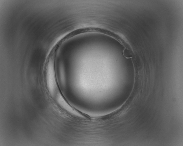 X0000053070879200507111215