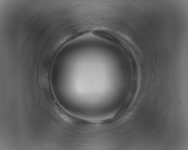 X0000053070881200507111215