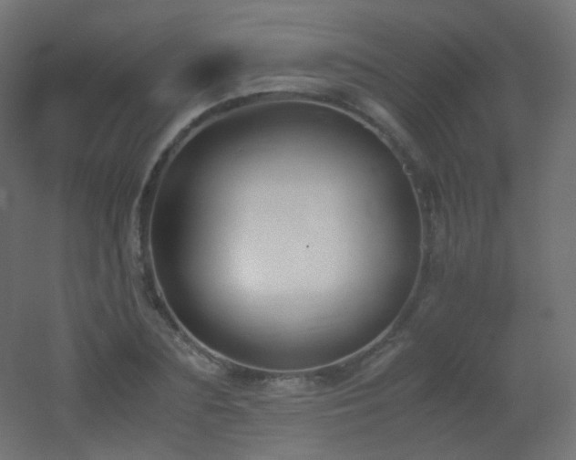 X0000053070883200507111215