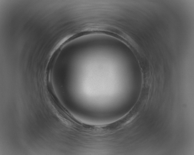X0000053070885200507111215
