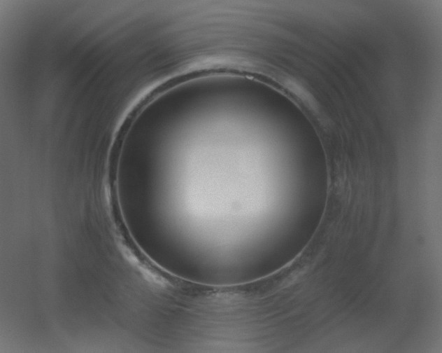 X0000053070888200507111215