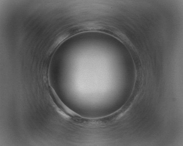 X0000053070889200507111215