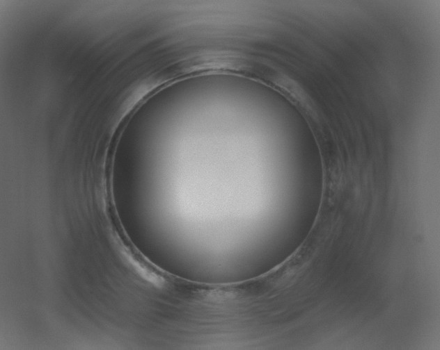 X0000053070890200507111215