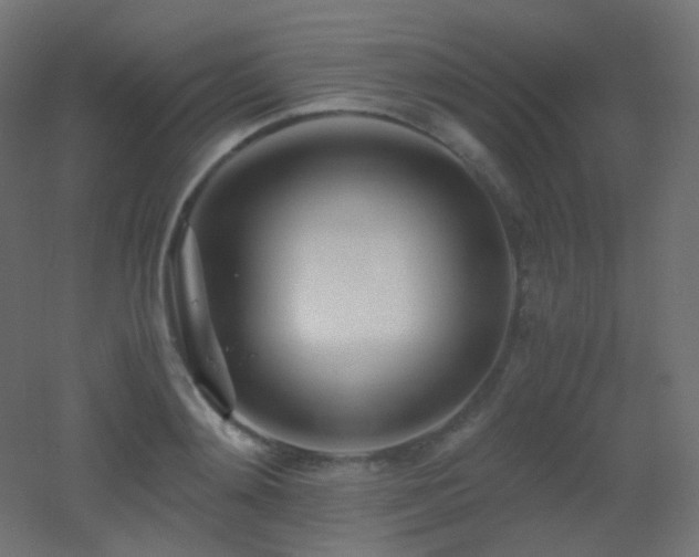 X0000053070892200507111215