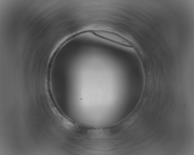 X0000053070896200507111215