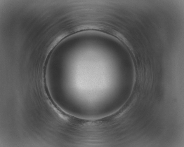 X0000053070898200507111215