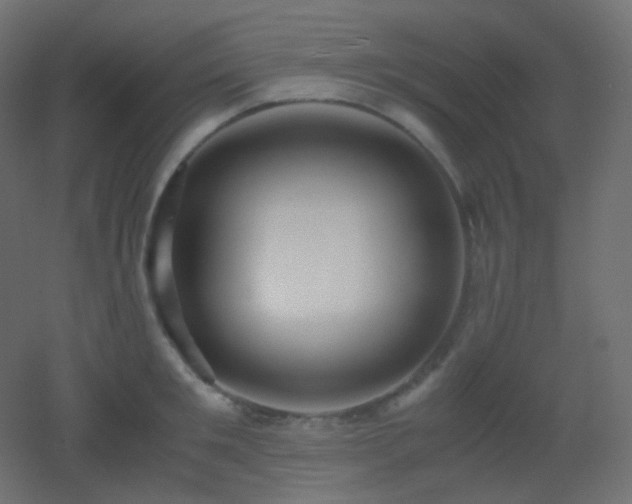 X0000053070901200507111215