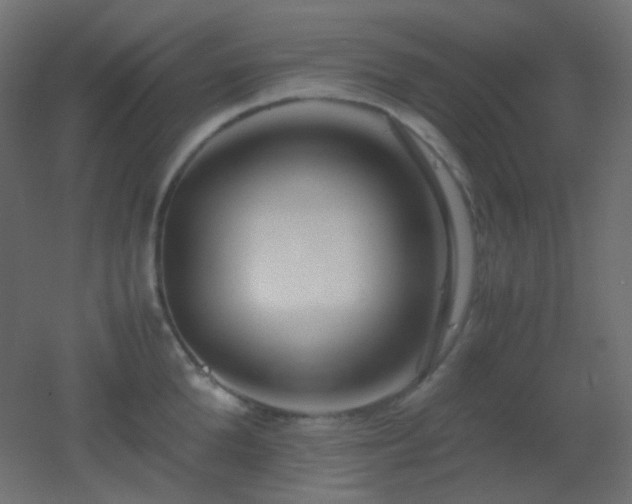 X0000053070904200507111215