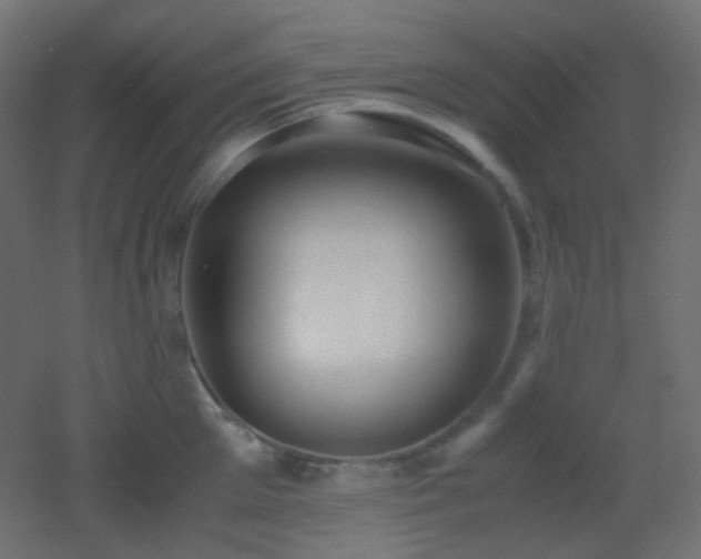 X0000053070905200507111215