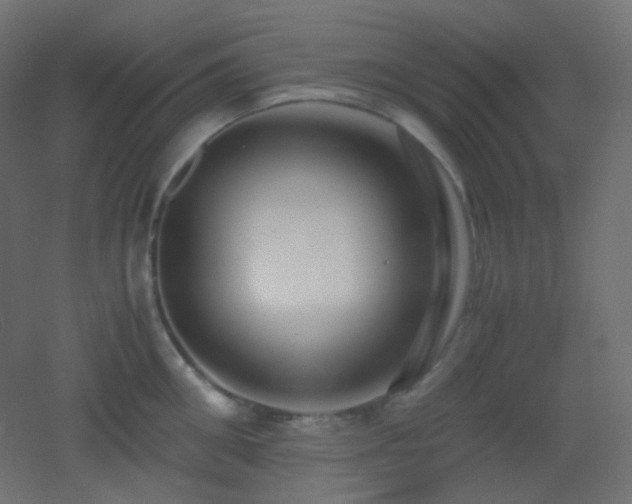 X0000053070906200507111215