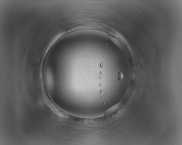 X0000053070907200507111215