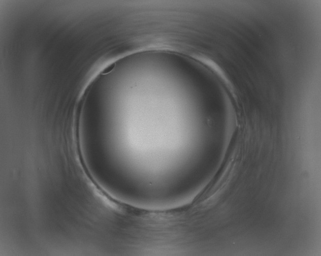 X0000053070910200507111215