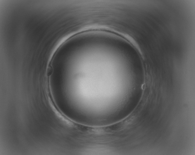 X0000053070911200507111215