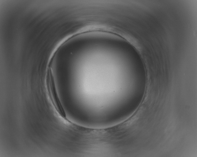 X0000053070912200507111215