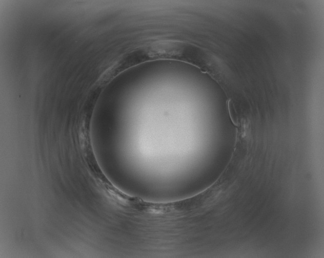 X0000053070915200507111214