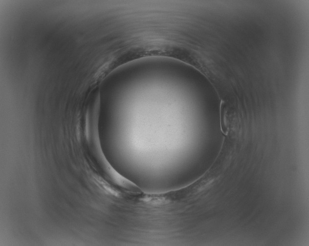 X0000053070916200507111214