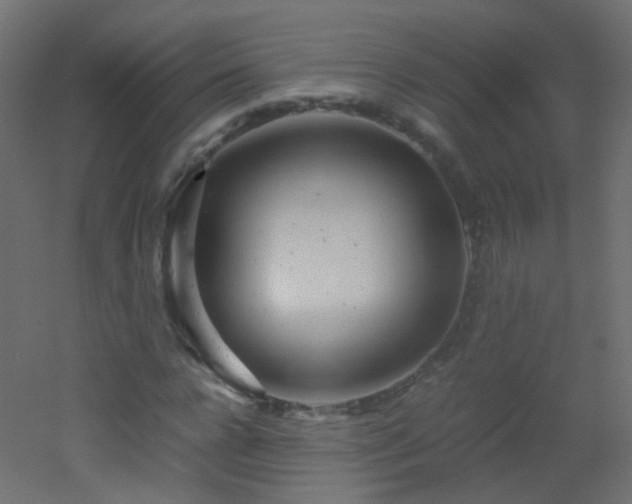 X0000053070920200507111214