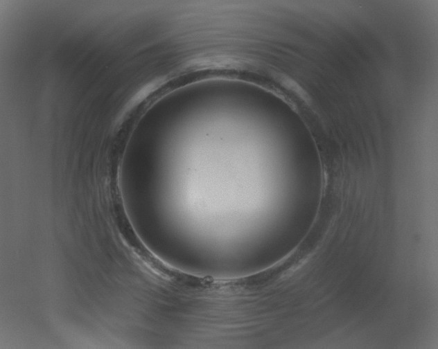 X0000053070922200507111214