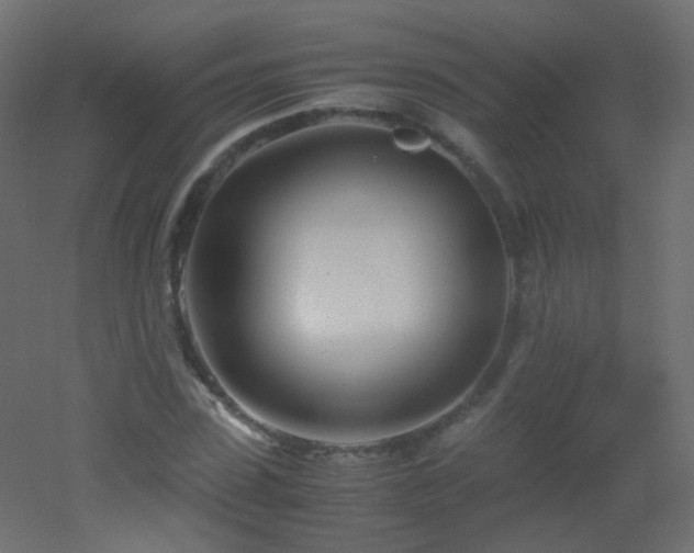 X0000053070923200507111214