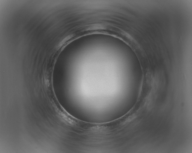 X0000053070929200507111214