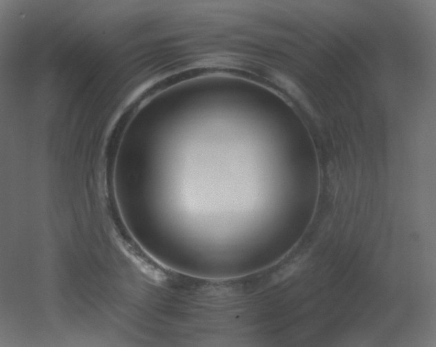 X0000053070931200507111214
