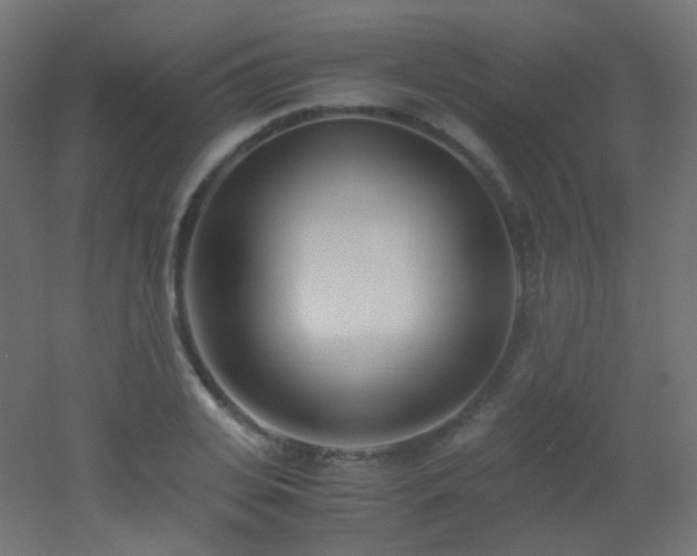 X0000053070935200507111214