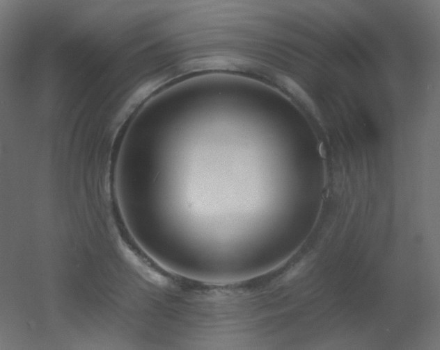 X0000053070938200507111214