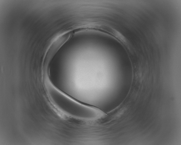 X0000053070940200507111214