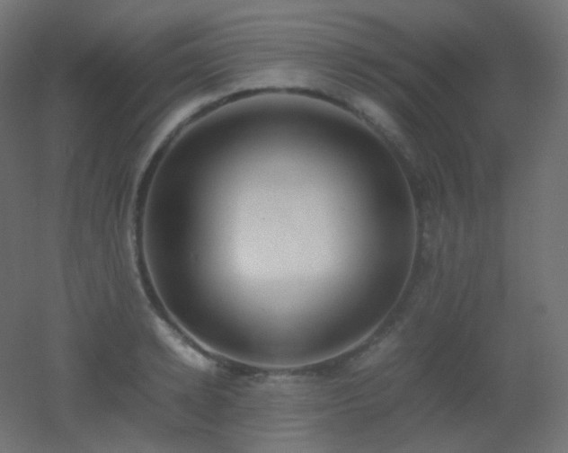 X0000053070942200507111214