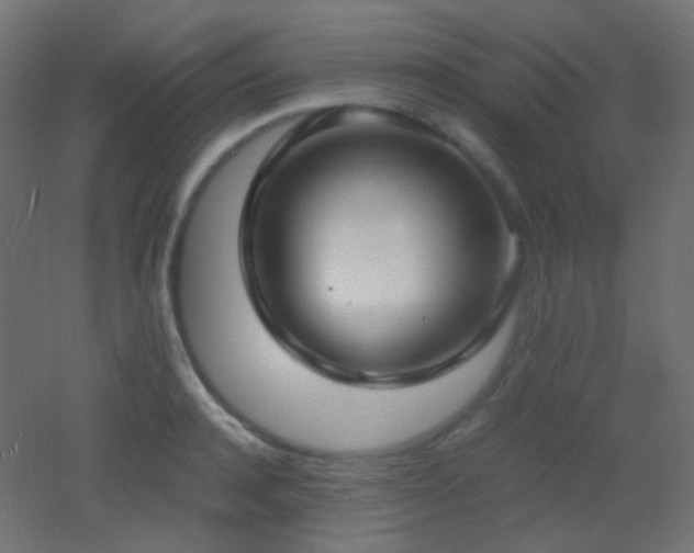 X0000053070944200507111215