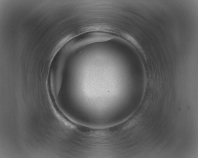 X0000053070946200507111215