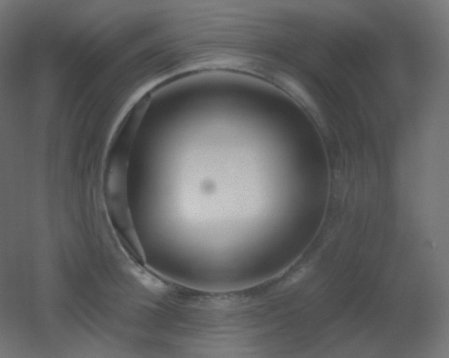 X0000053070948200507111215