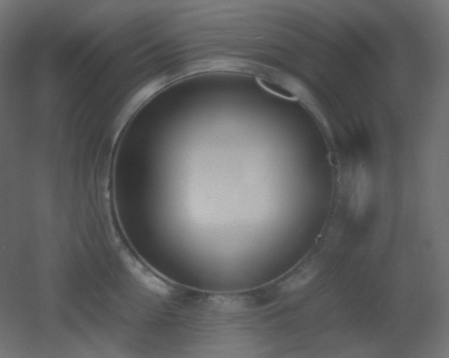 X0000053070954200507111215